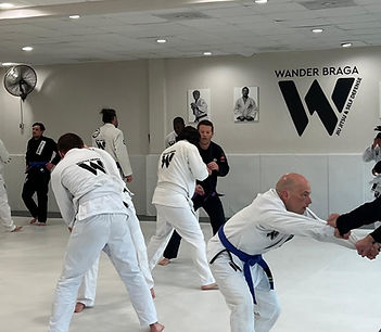 Adults BJJ class